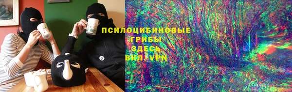 прущий лед Богородицк