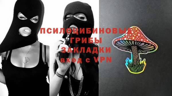 прущий лед Богородицк