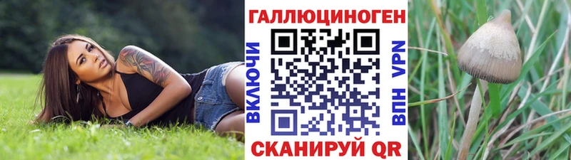 blacksprut вход Ленинградская Псилоцибиновые грибы мухоморы